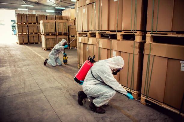 Best Bed Bug Extermination  in Fairmount, NY