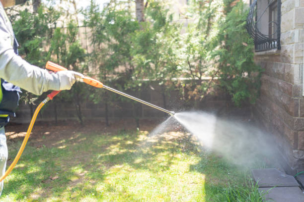 Best Wildlife Control Services  in Fairmount, NY