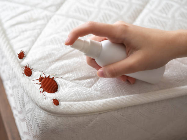 Best Pest Control Near Me in Fairmount, NY
