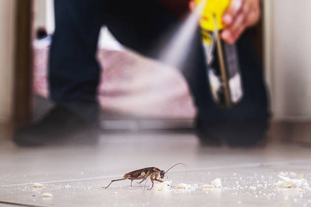 Best Pest Prevention Services  in Fairmount, NY